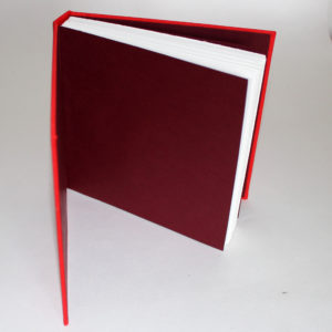 puffin on red with dark red endpapers