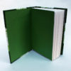 travellers joy A6 sketchbook, notebook or journal with green endpapers