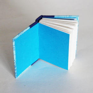 blue houses mini notebook endpapers