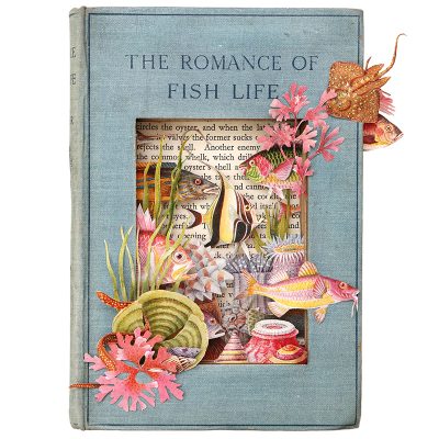 The Romance of Fish Life – A2 print by Alison Stockmarr