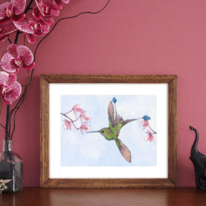 hummingbird giclee print