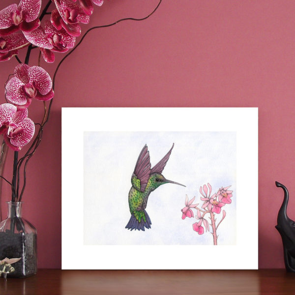 hummingbird giclee print