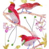 bird of paradise giclee print