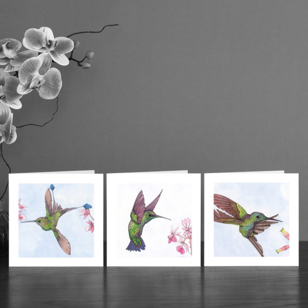 final watercolour hummingbird set CROP bw