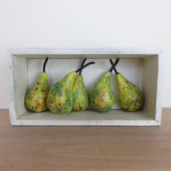 HB Miniature conference pears