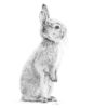 Pencil drawing of a bunny rabbit.