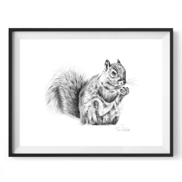 greenwich-squirrel-drawing-3